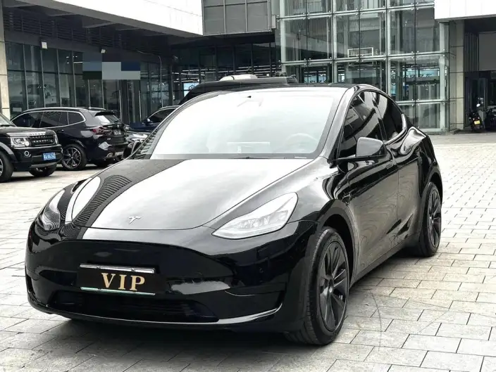 Model Y 2023 Model Rear-wheel drive version – фото 1