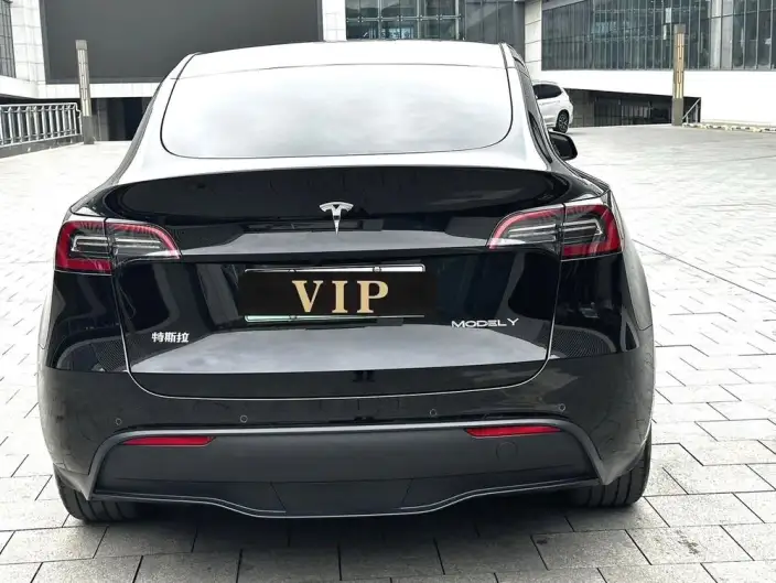Model Y 2023 Model Rear-wheel drive version – фото 4