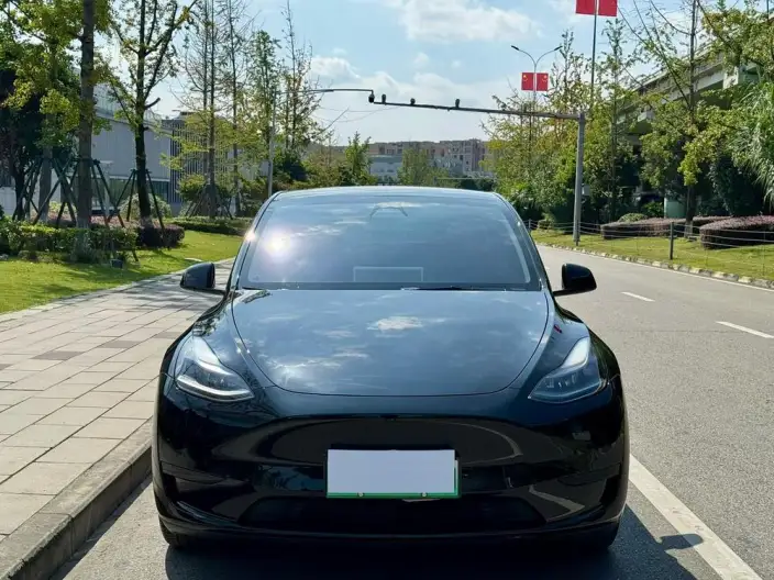 Model Y 2022 Model Facelift Rear-wheel drive version – фото 2