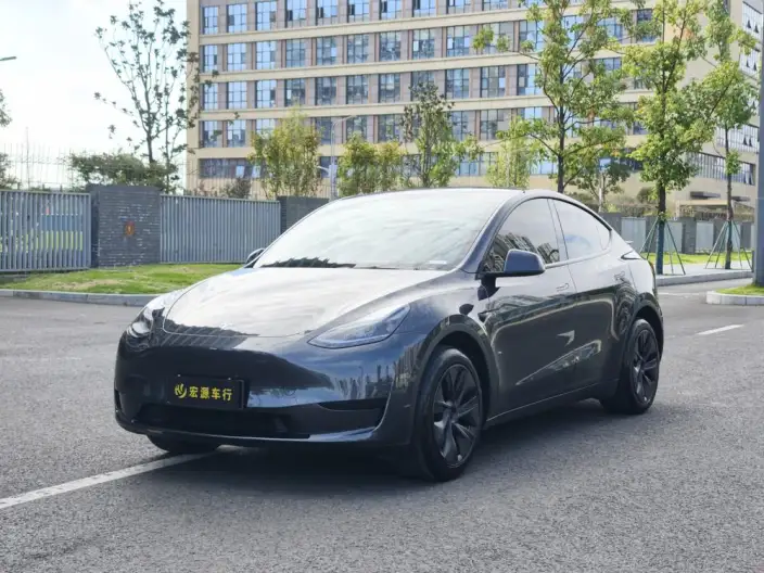 Model Y 2024 Model Rear-wheel drive version – фото 1