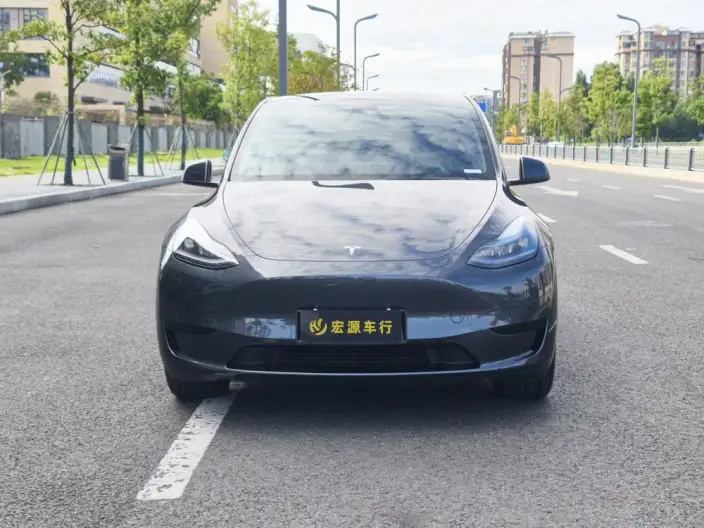 Model Y 2024 Model Rear-wheel drive version – фото 2