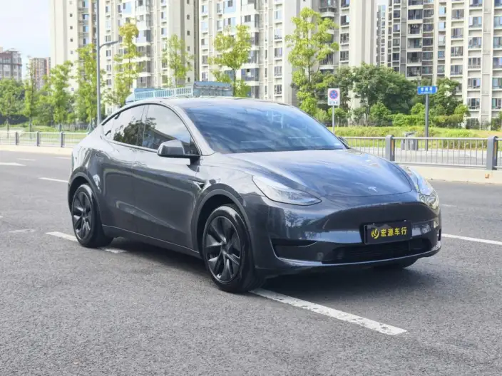 Model Y 2024 Model Rear-wheel drive version – фото 3