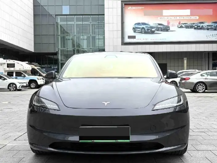 Model 3 2023 Model Rear-wheel drive version – фото 2