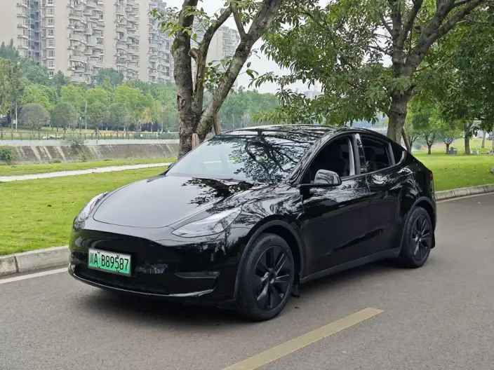 Model Y 2023 Model Long Battery Life Pro All-wheel drive version – фото 1