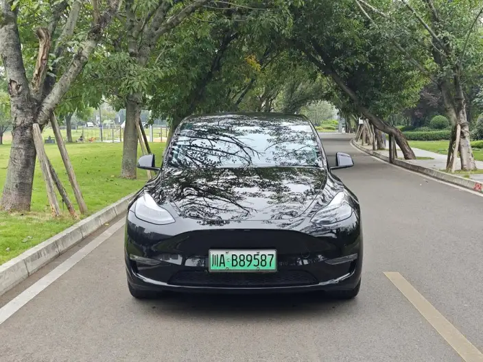 Model Y 2023 Model Long Battery Life Pro All-wheel drive version – фото 2