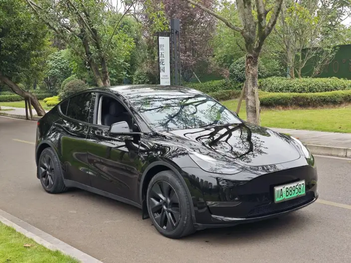 Model Y 2023 Model Long Battery Life Pro All-wheel drive version – фото 3