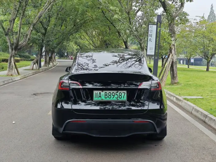 Model Y 2023 Model Long Battery Life Pro All-wheel drive version – фото 5