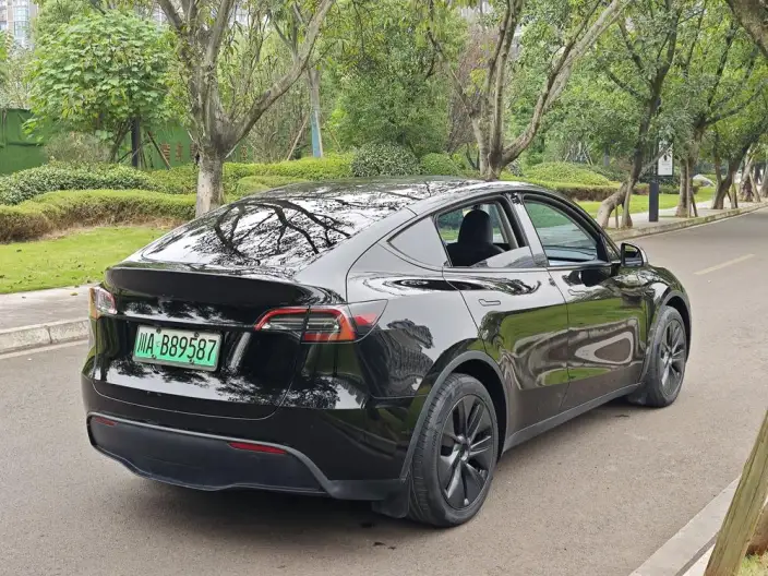 Model Y 2023 Model Long Battery Life Pro All-wheel drive version – фото 6