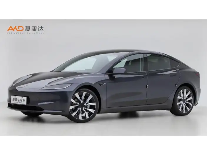 Model 3 2023 Model Long Battery Life Pro All-wheel drive version – фото 1