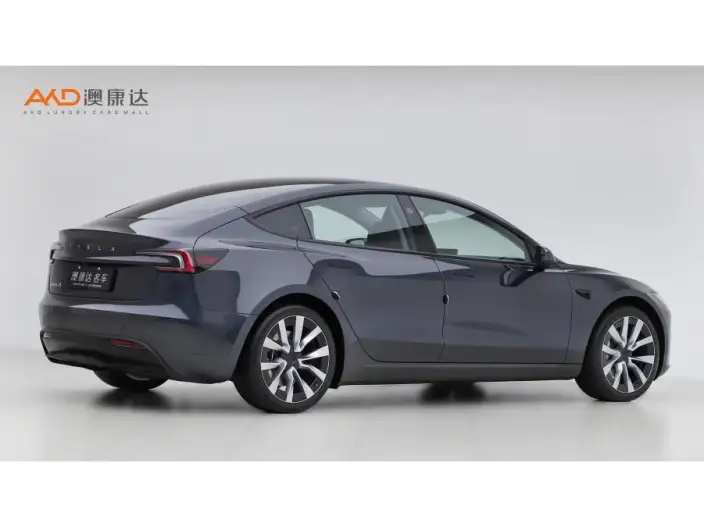 Model 3 2023 Model Long Battery Life Pro All-wheel drive version – фото 4