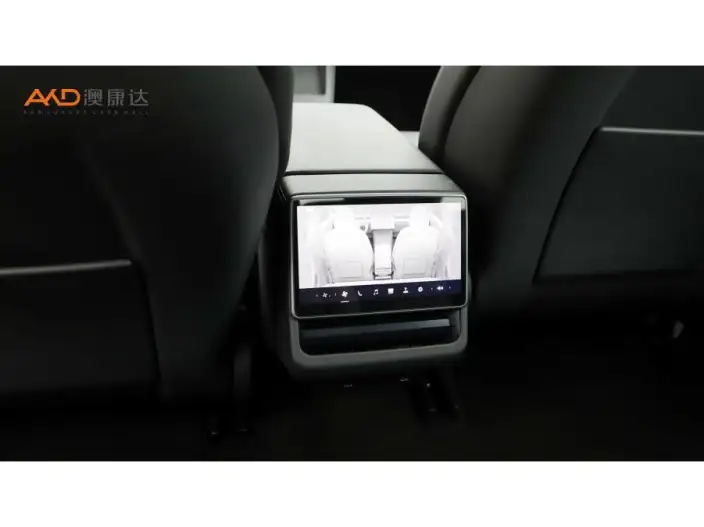 Model 3 2023 Model Long Battery Life Pro All-wheel drive version – фото 5