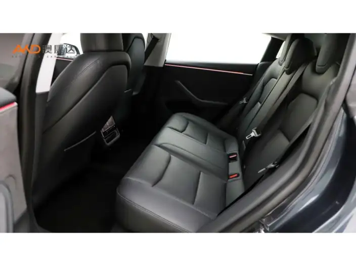 Model 3 2023 Model Long Battery Life Pro All-wheel drive version – фото 8