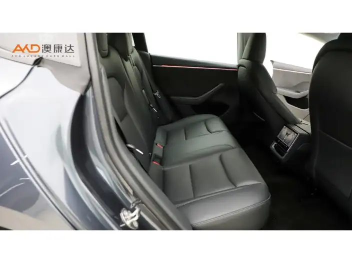 Model 3 2023 Model Long Battery Life Pro All-wheel drive version – фото 10