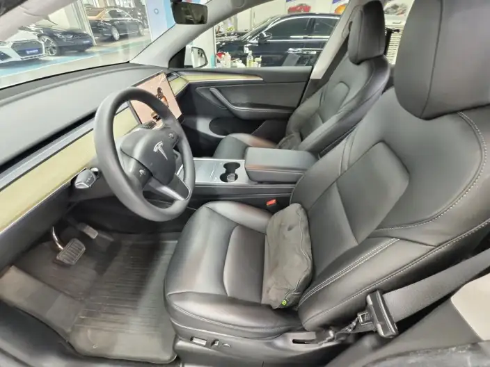 Model Y 2022 Model Facelift Rear-wheel drive version – фото 10
