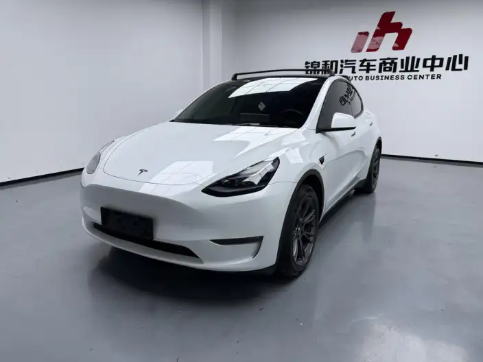 Model Y 2024 Model Long Battery Life Pro All-wheel drive version – фото 1