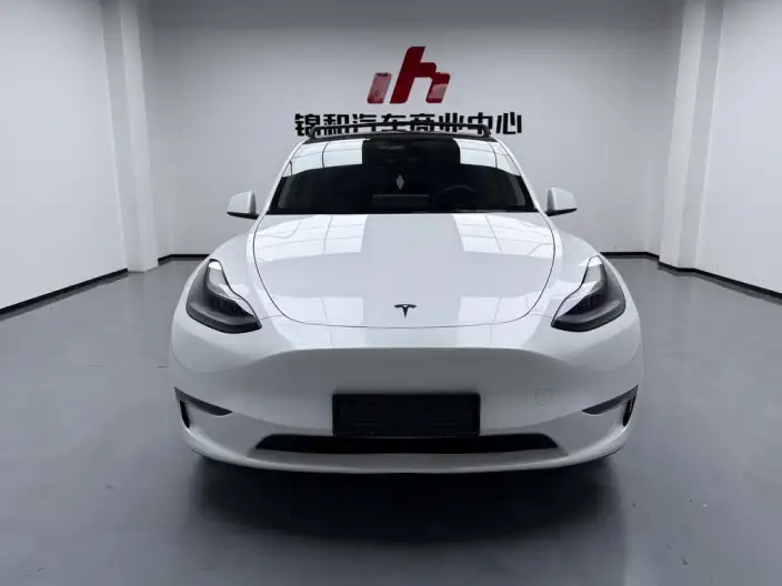 Model Y 2024 Model Long Battery Life Pro All-wheel drive version – фото 2