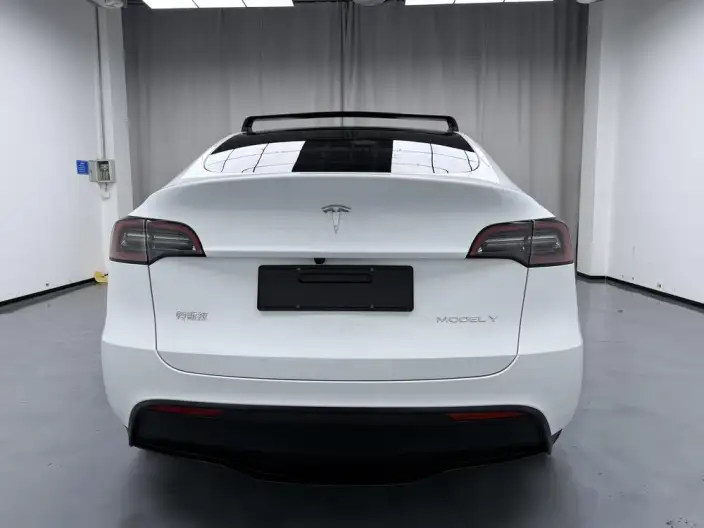Model Y 2024 Model Long Battery Life Pro All-wheel drive version – фото 6
