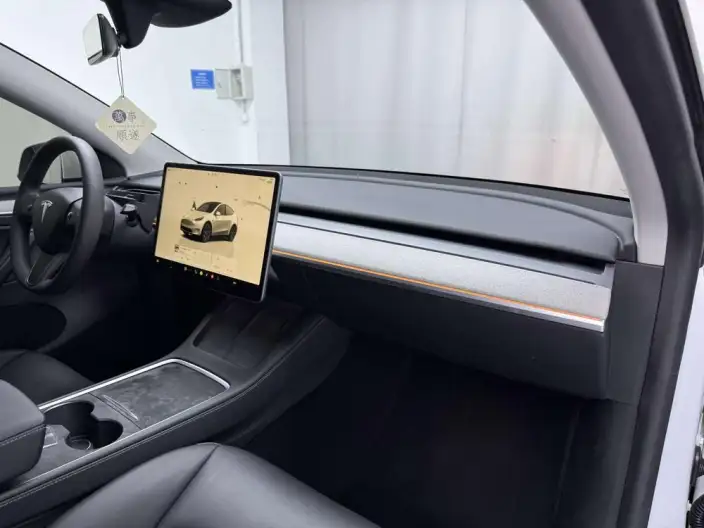 Model Y 2024 Model Long Battery Life Pro All-wheel drive version – фото 16