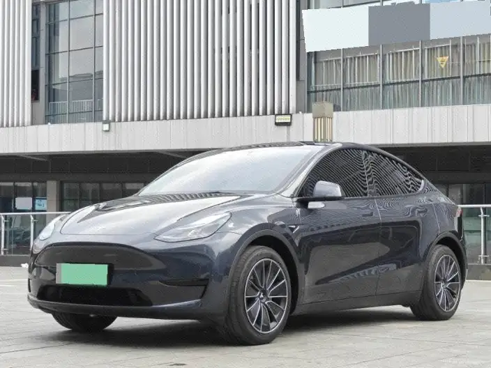 Model Y 2024 Model Rear-wheel drive version – фото 1