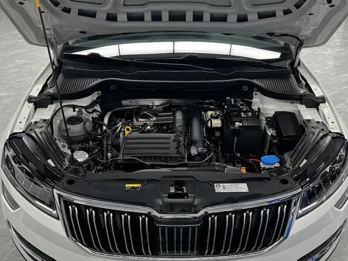 Karoq 2021 Model TSI280 Deluxe Edition – фото 8