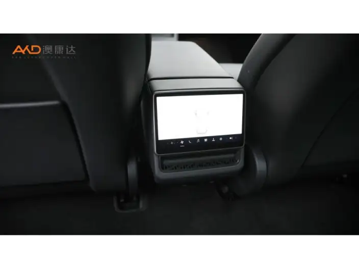 Model 3 2023 Model Rear-wheel drive version – фото 5