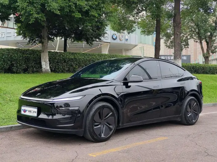 Model Y 2025 Model Rear-wheel drive version – фото 1