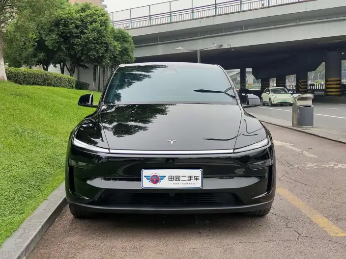 Model Y 2025 Model Rear-wheel drive version – фото 2