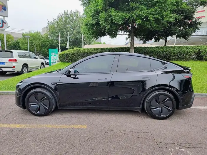 Model Y 2025 Model Rear-wheel drive version – фото 3