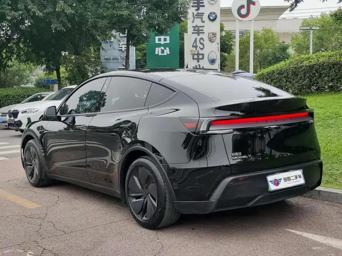 Model Y 2025 Model Rear-wheel drive version – фото 4