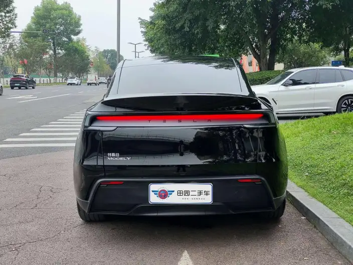 Model Y 2025 Model Rear-wheel drive version – фото 5