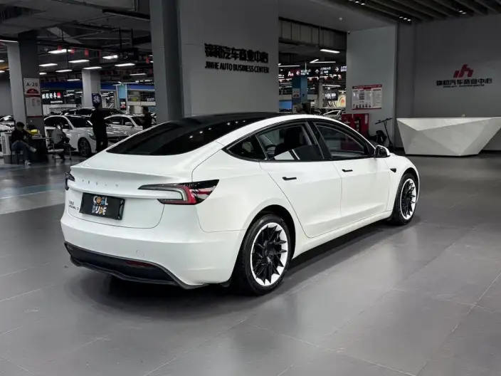 Model 3 2025 Model Rear-wheel drive version – фото 6