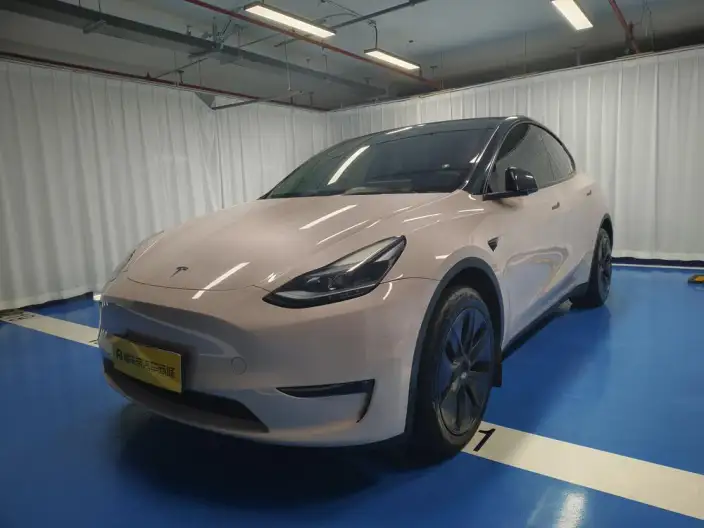 Model Y 2023 Model Long Battery Life Pro All-wheel drive version – фото 1