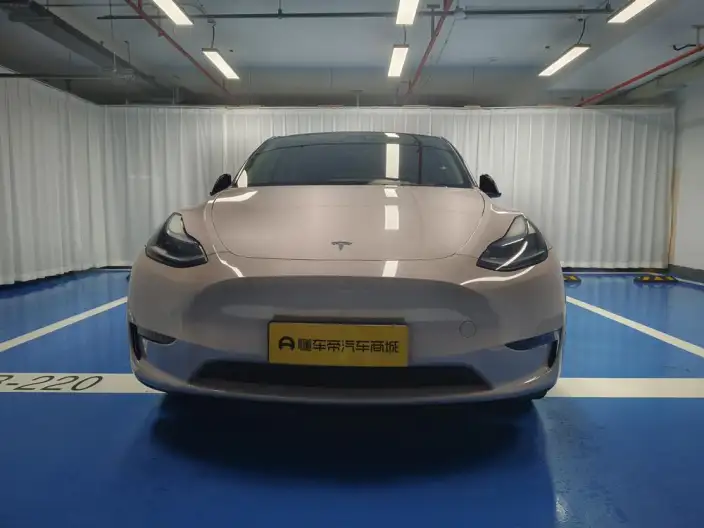 Model Y 2023 Model Long Battery Life Pro All-wheel drive version – фото 2