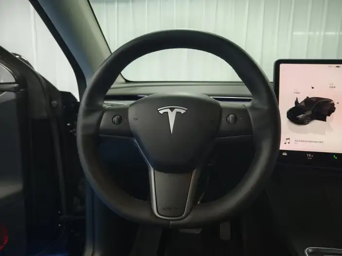 Model Y 2023 Model Long Battery Life Pro All-wheel drive version – фото 16
