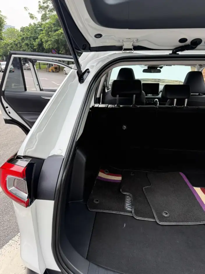 Toyota Wildlander 2021 Model Hybrid 2.5L 2WD Deluxe Edition – фото 13