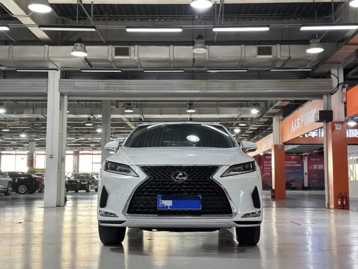 Lexus RX 2020 Model 300 2WD Comfort Edition China VI – фото 2