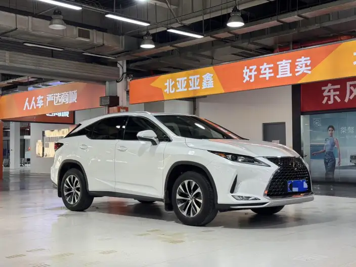 Lexus RX 2020 Model 300 2WD Comfort Edition China VI – фото 3