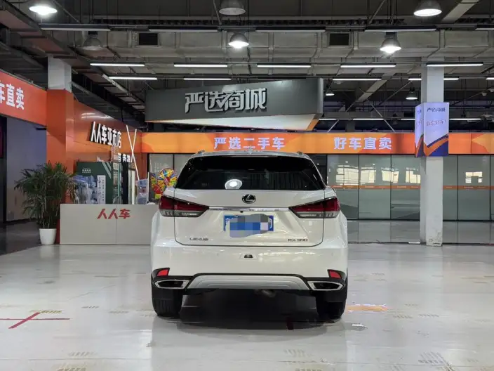 Lexus RX 2020 Model 300 2WD Comfort Edition China VI – фото 5