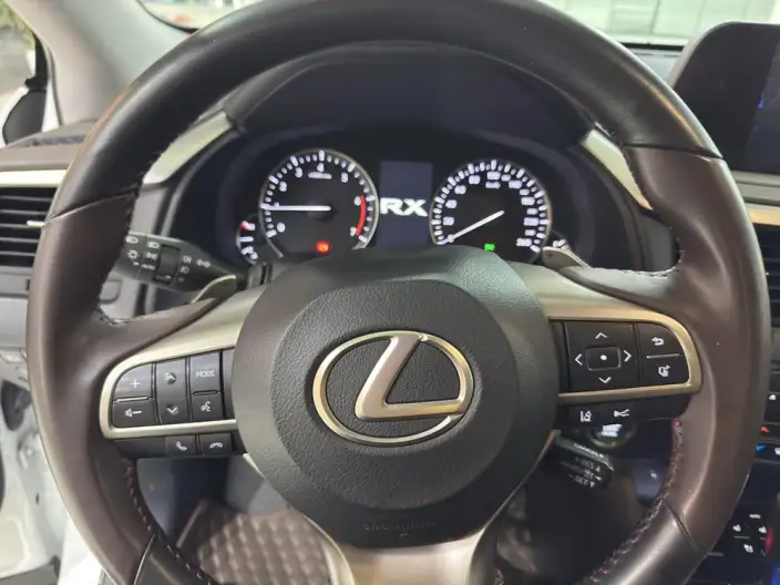 Lexus RX 2020 Model 300 2WD Comfort Edition China VI – фото 11