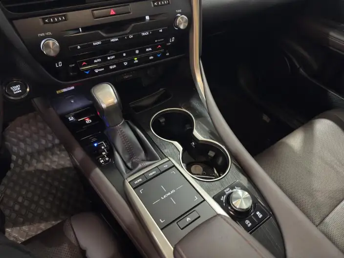 Lexus RX 2020 Model 300 2WD Comfort Edition China VI – фото 12
