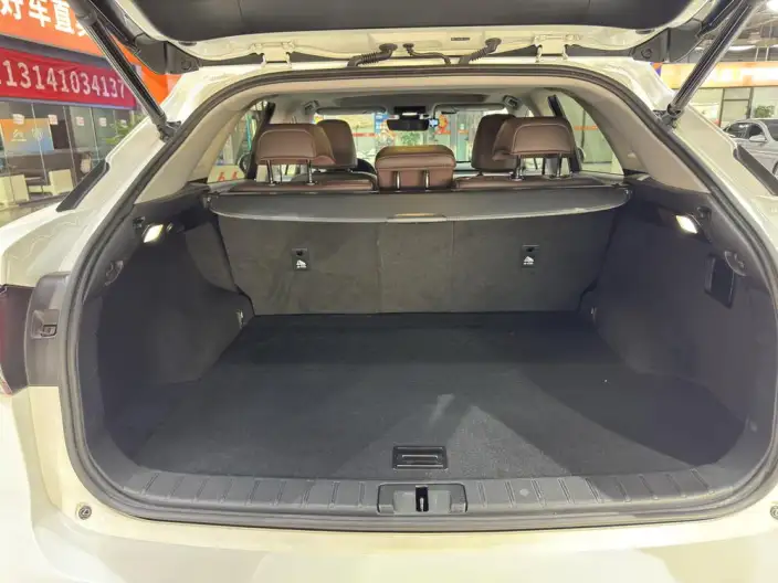 Lexus RX 2020 Model 300 2WD Comfort Edition China VI – фото 19