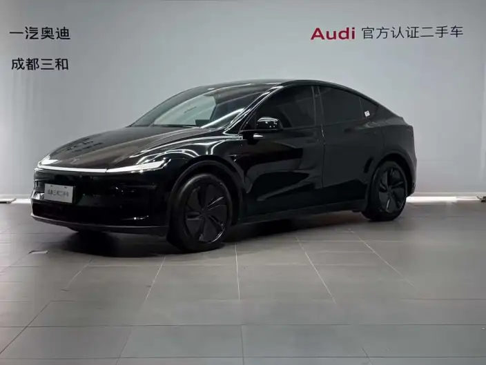 Model Y 2025 Model Rear-wheel drive version – фото 1