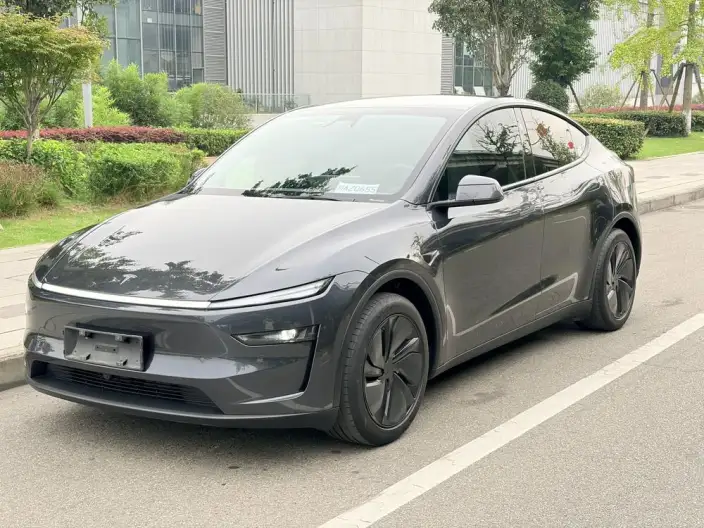 Model Y 2025 Model Rear-wheel drive version – фото 1