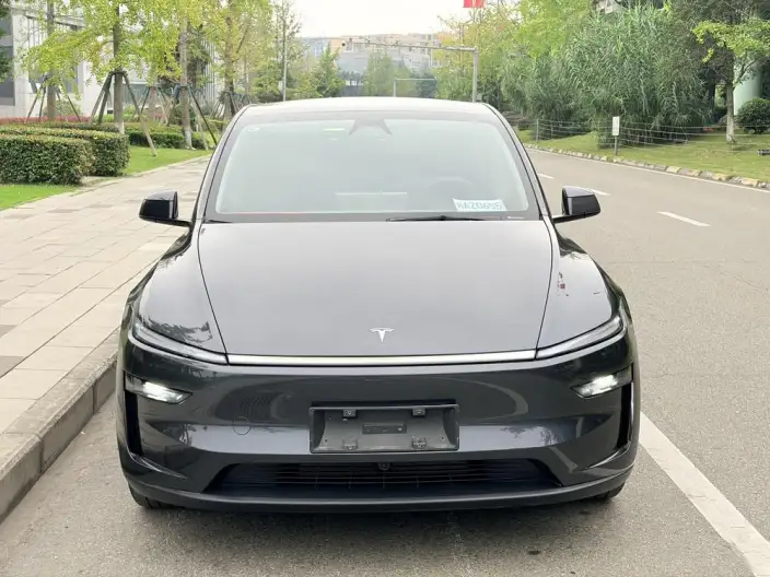 Model Y 2025 Model Rear-wheel drive version – фото 2