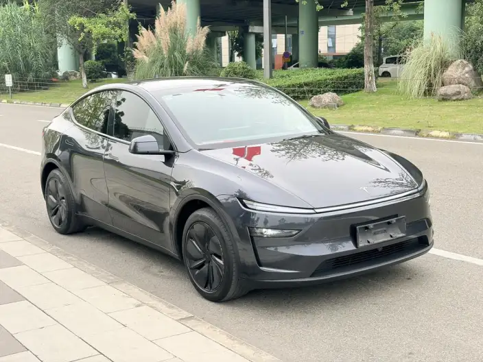 Model Y 2025 Model Rear-wheel drive version – фото 3
