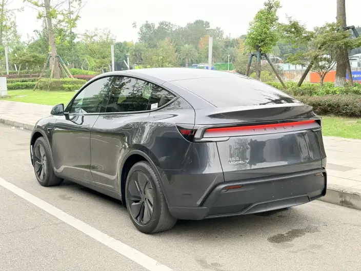Model Y 2025 Model Rear-wheel drive version – фото 4