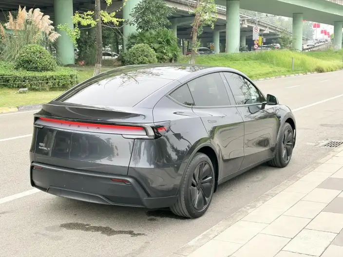 Model Y 2025 Model Rear-wheel drive version – фото 6