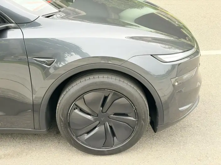 Model Y 2025 Model Rear-wheel drive version – фото 7