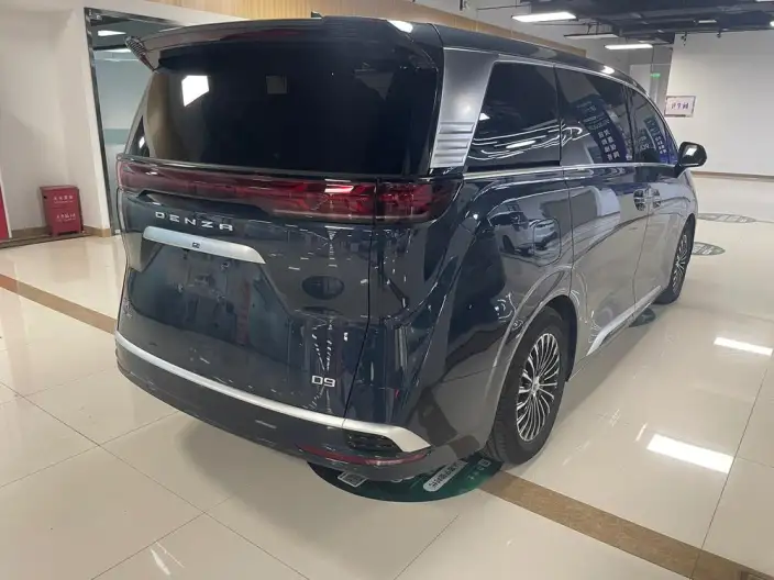 DENZA D9 DM 2022 Model 970 4WD Zunrong Model – фото 4