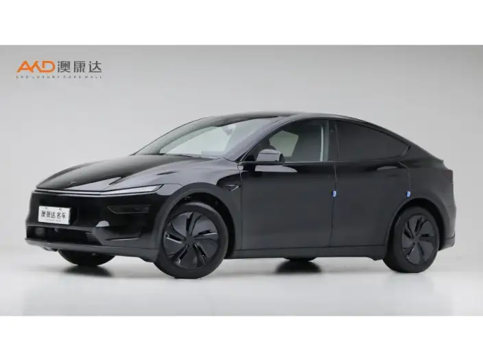 Model Y 2025 Model Rear-wheel drive version – фото 1